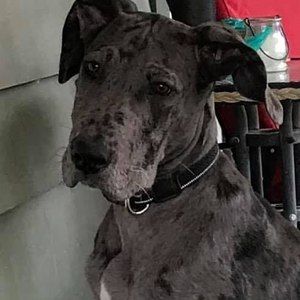 Meet your Posher, Trudi